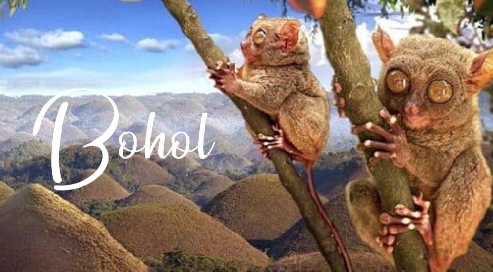 薄荷岛 Bohol
